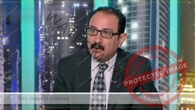 أستاذ علوم سياسية: موقف الاتحاد الأوروبي يميل إلى مصر في أزمة سد النهضة.. فيديو
