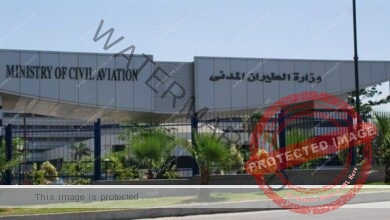 مصر للطيران تبدأ غداً تسيير سلسلة من الرحلات العارضة من مدريد إلى مدينة الأقصر