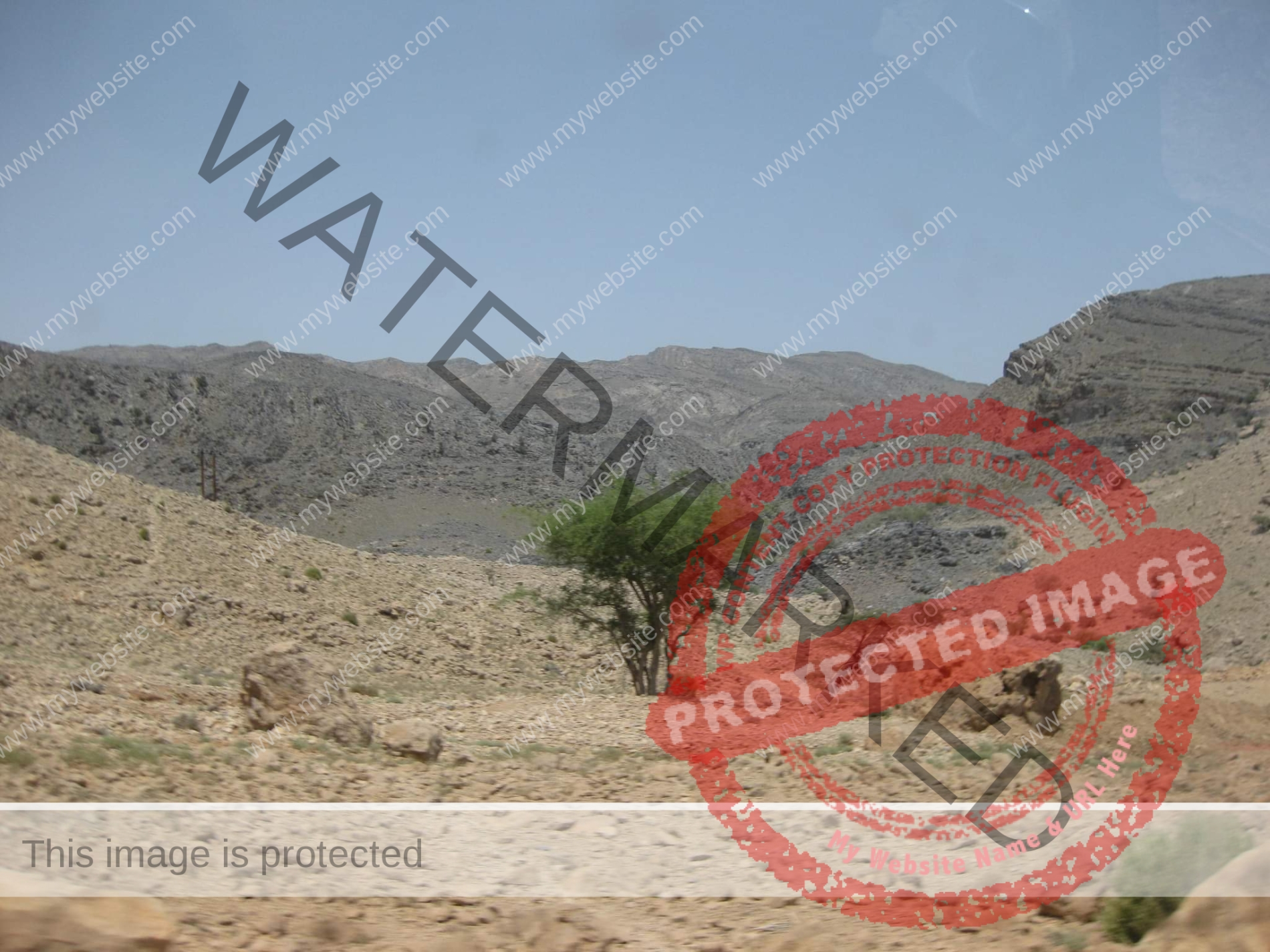 بالصور .. العارف بالله طلعت أعلى "الجبل الأبيض" بسلطنة عمان