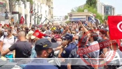 فعلول: حركة النهضة التونسية الإخوانية تمتلك أذرع إرهابية