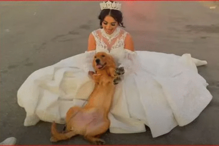 هبة مبروك أول فتاة مصرية تعلن زفافها على كلب: "سيشن هزار"