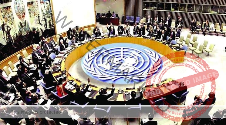 نبيل أبوالياسين : يُهاجم مجلس الأمن " عديم الفائده "