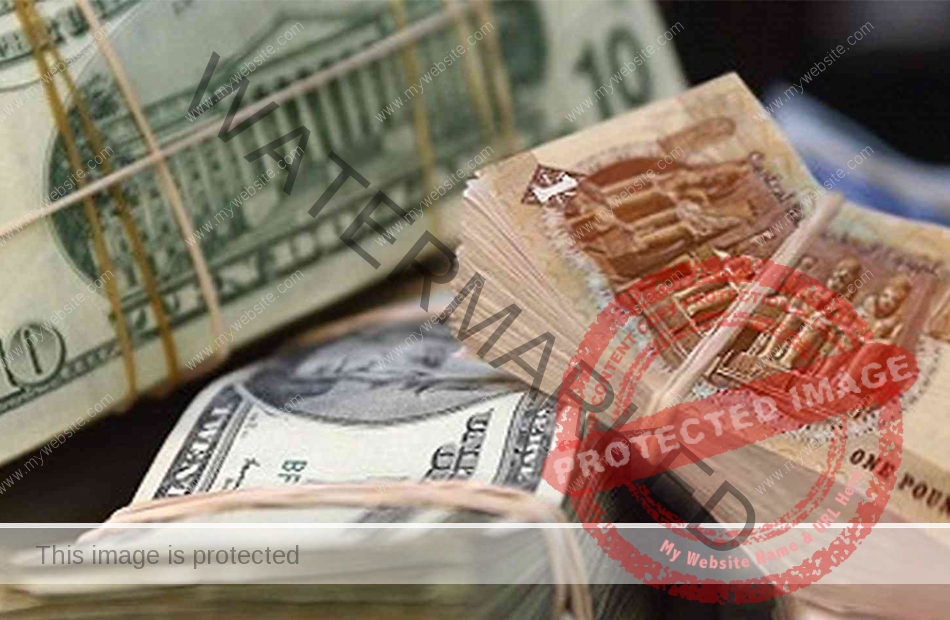 سعر الدولار أمام الجنيه في أول تعاملات اليوم الثلاثاء 17/8/2021