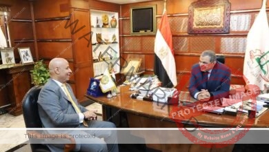 سعفان يلتقي عادل حنفي نائب الاتحاد العام للمصريين بالسعودية