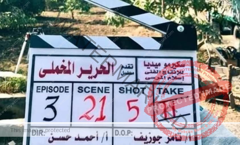 أسما عصام تنتهى من تصوير دورها فى مسلسل "الحرير المخملي"