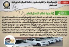 الحكومة تنفي شائعة تراجع الدولة عن تنفيذ مشروع صناعة السيارة الكهربائية في مصر