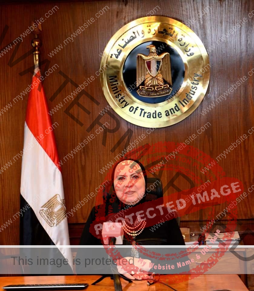 وزيرة التجارة: إقامة معرضين للمنتجات المصرية بالعراق وجوبا نهاية 2021 .. فيديو