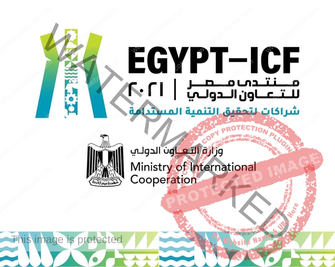 المشاط: مُنتدى مصر للتعاون الدولي يشهد إطلاق مبادرات دولية وإقليمية لتعزيز التعاون المشترك