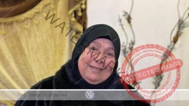 وفاة والدة أحمد حسن قائد منتخب مصر السابق