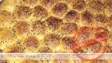 خلية النحل ... مقدمة من الشيف : فايز محمد جمعة