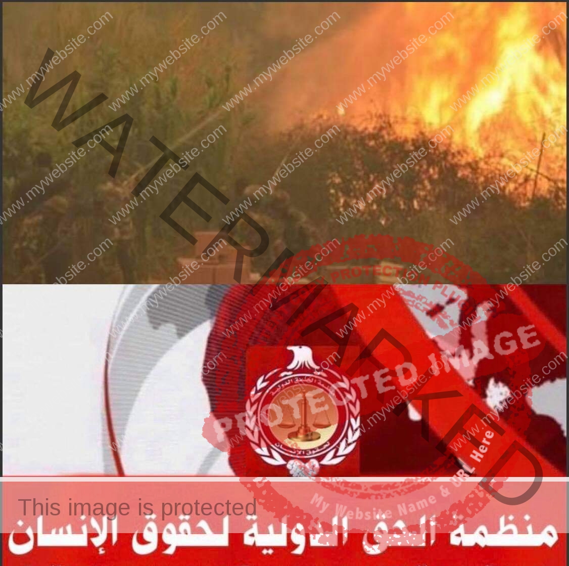 نبيل أبوالياسين: يُطالب الدول العربية بتكثيف الدعم للجزائر لمواجهة الحرائق !!