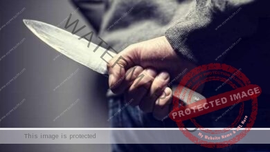 عامل يطعن زميله بسبب خلاف على ملكية «توك توك» في نبروه