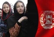 حركة طالبان بين الهلع العالمي وحقوق المرأة .