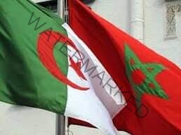 رئيس منظمة الحق : يُعلق على قرار قطع الجزائر العلاقات الدبلوماسية مع المغرب