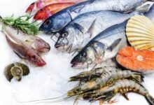 أسعار الأسماك في سوق العبور لـ يوم الأثنين 16/8/2021