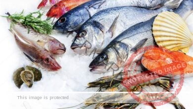 أسعار الأسماك في سوق العبور لـ يوم الأثنين 16/8/2021