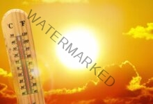 الأرصاد: استمرار الارتفاع فى درجات الحرارة والرطوبة اليوم والعظمى بالقاهرة 42 درجة