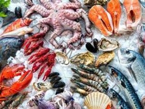 أسعار الأسماك في سوق العبور اليوم السبت 11 سبتمبر 2021