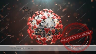 انحسار فيروس كورونا بعد نهاية 2021
