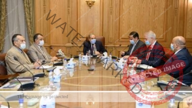 مرسي يستقبل رئيس مجلس إدارة شركة جرين تك إيجيبت والوفـد المرافق له