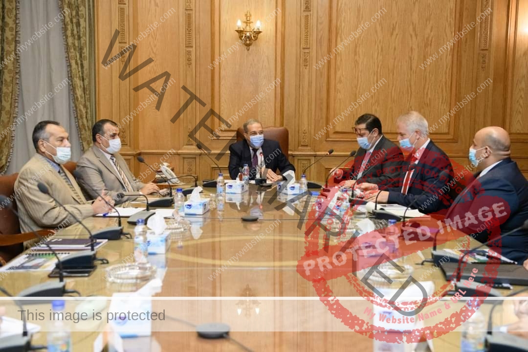 مرسي يستقبل رئيس مجلس إدارة شركة جرين تك إيجيبت والوفـد المرافق له