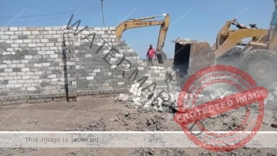 إزالة ٣ منازل وسور على مساحة ٩٥٠ م بجنوب بورسعيد