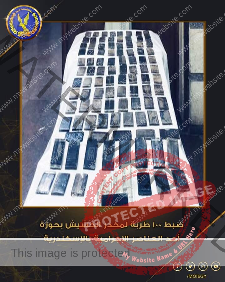 الداخلية: ضبط 100 طربة لمخدر الحشيش بحوزة شخص بـ الإسكندرية