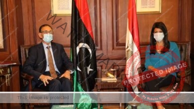 انطلاق الاجتماعات التحضيرية للجنة العليا المصرية الليبية المشتركة الحادية عشرة على مستوى الخبراء