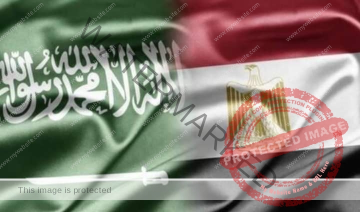 السعودية.. تنفيذ حكم الإعدام بمواطن مصري