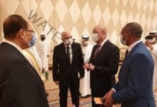 الجزار يلتقي وزير الطاقة والبنية التحتية الإماراتي لمناقشة سبل التعاون في قضايا الأمن المائي