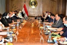 وزيرا التجارة والمالية يبحثان تنفيذ مبادرة تحفيز الصناعة المصرية