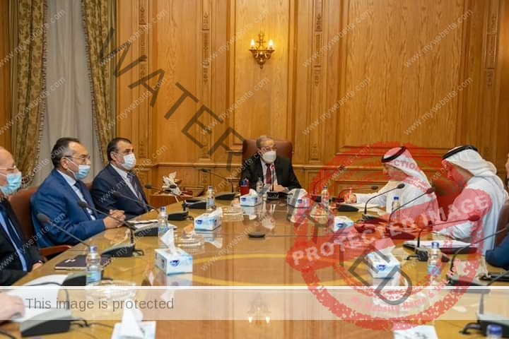  مرسي والمدير العام لمجلس الإمارات للشركات الدفاعية يبحثان سبل تعزيز التعاون المشترك