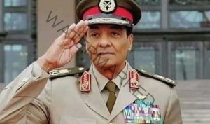 قائد أنقذ مصر من مستنقع الفوضى