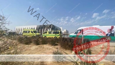 الصحة: إصابة ١٤ مواطناً باختناقات في حريق محدود بإحدى قاعات مهرجان الجونة بالبحر الأحمر