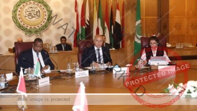 الوزير يترأس اجتماع الدورة رقم (67) للمكتب التنفيذي لمجلس وزراء النقل العرب