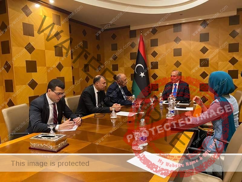 شكري يُجري لقاءات مع رئيس المجلس الرئاسي الليبي ونائبيه