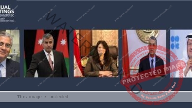 وزيرا التعاون الدولي والكهرباء يشاركان في جلسة وزارية مع المحافظين العرب بالبنك الدولي