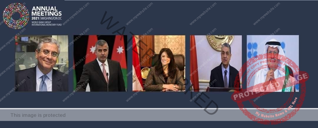 وزيرا التعاون الدولي والكهرباء يشاركان في جلسة وزارية مع المحافظين العرب بالبنك الدولي