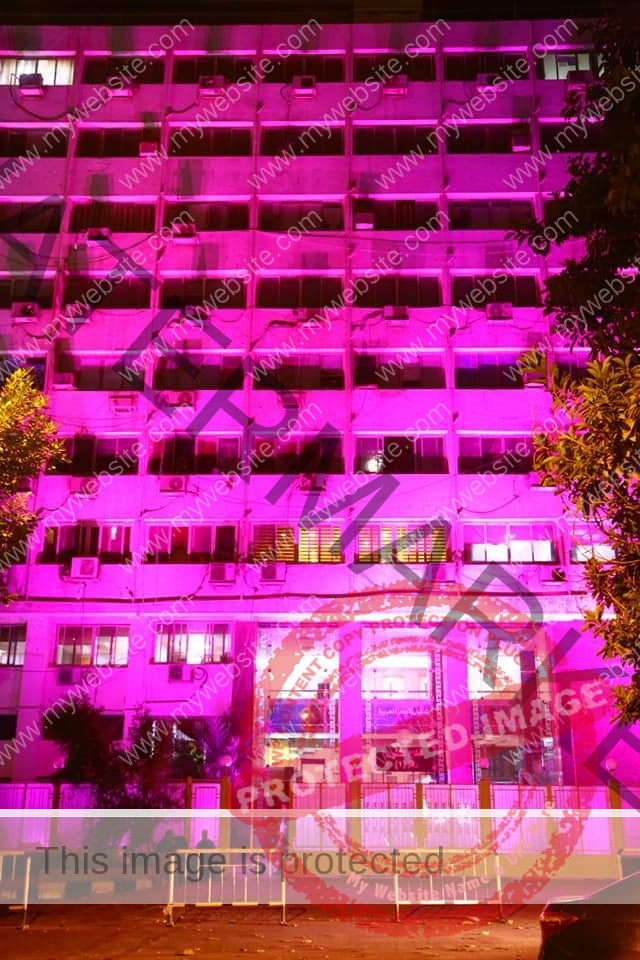 وزارة التضامن تضىء مبناها باللون الوردي لإرسال رسالة دعم ومساندة لمرضى سرطان الثدي 