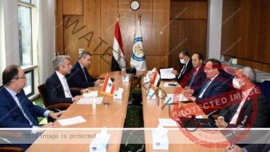 وزير البترول يستقبل ونظيره اللبناني لاستكمال متابعة إجراءات وصول الغاز المصري