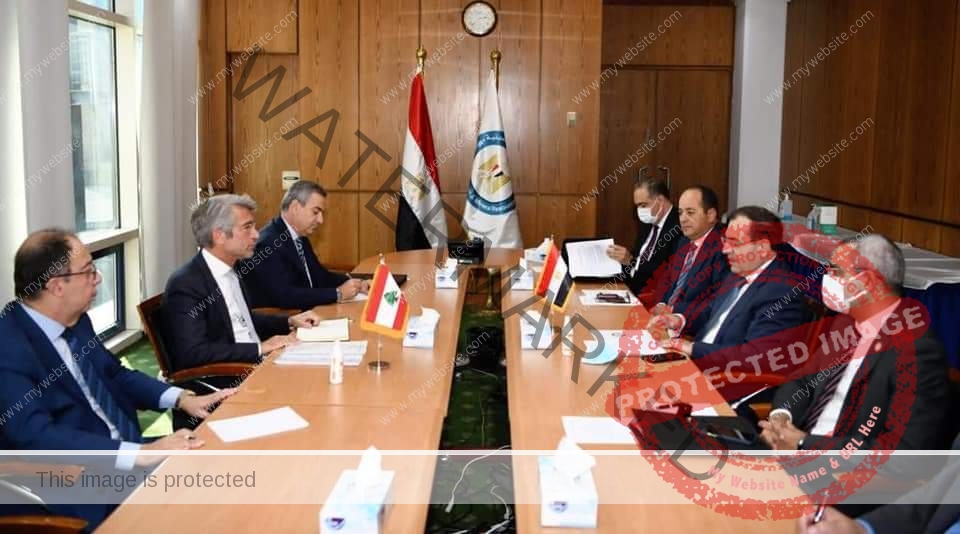وزير البترول يستقبل ونظيره اللبناني لاستكمال متابعة إجراءات وصول الغاز المصري