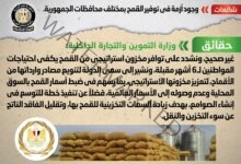 الحكومة تنفي وجود أزمة في توفير القمح بمختلف محافظات الجمهورية
