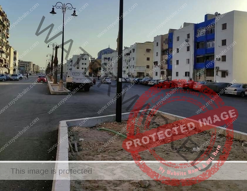 محافظ بورسعيد : استمرار أعمال رصف منطقة فاطمة الزهراء بالضواحى