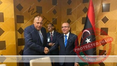 شكري يُجري لقاءات مع رئيس المجلس الرئاسي الليبي ونائبيه