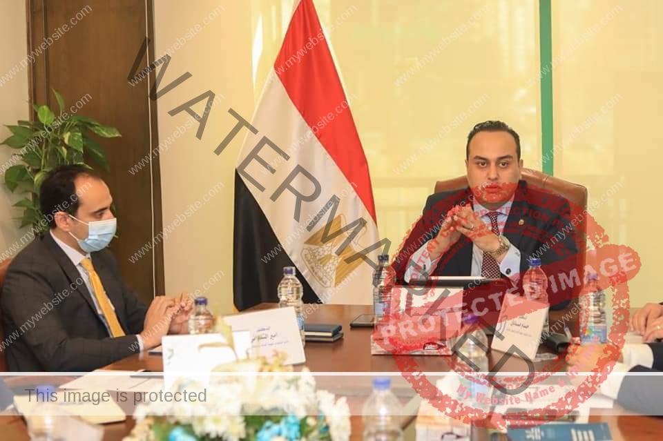 د. أحمد السبكي يترأس اجتماع اللجنة التنسيقية بين الهيئات الثلاث لمنظومة التأمين الصحي الشامل