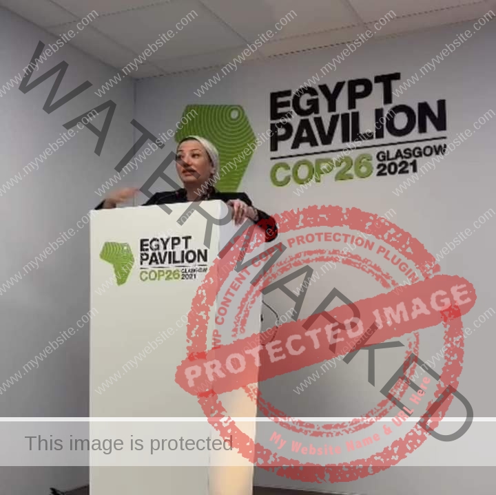 فؤاد تطلق الاستراتيجية الوطنية لتغير المناخ في مصر 2050