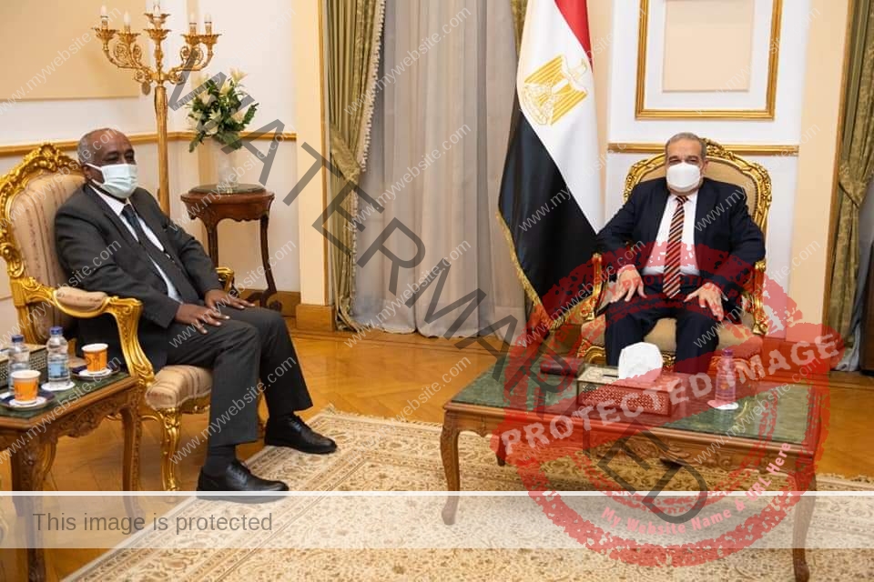 مرسي يستقبل "سفير مصر في اليابان" لبحث سبل تعزيز التعاون المشترك بين الجانبين