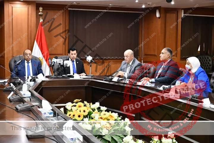  صبحي: مبادرة عربات مصر تقلل نسبة البطالة وتدمج الاقتصاد الرسمي بغير الرسمي