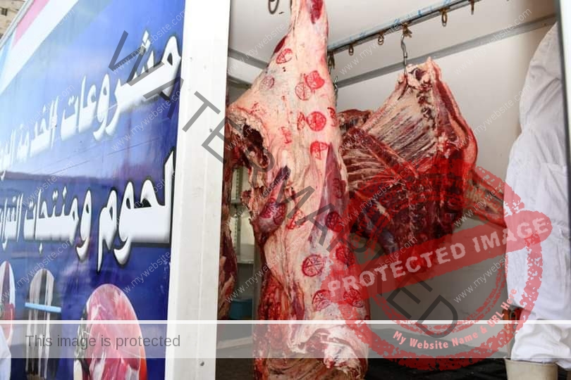 محافظ الفيوم: توفير 8 منافذ لبيع اللحوم والسلع الغذائية للمواطنين بأسعار مخفضة