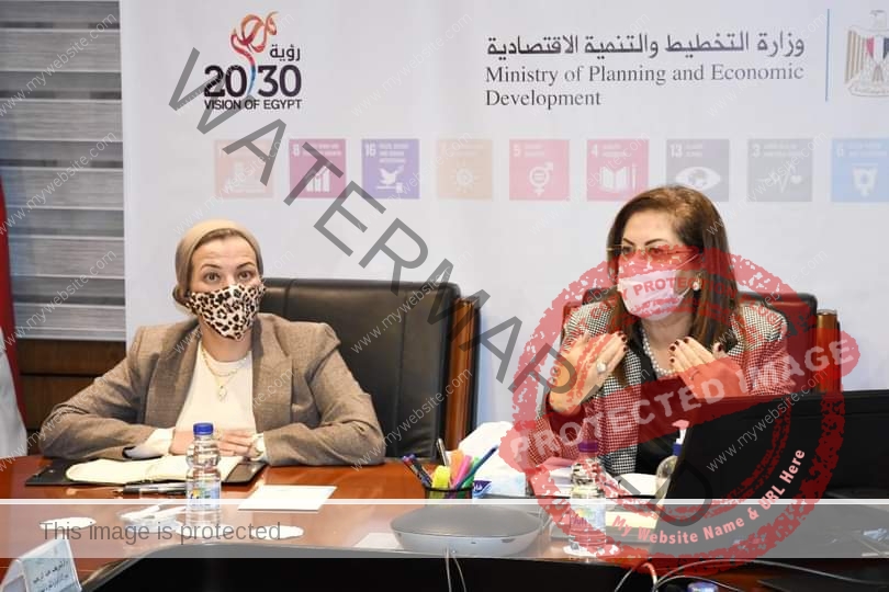 السعيد وفؤاد تناقشان ترتيبات استضافة مصر لمؤتمر الأطراف لتغير المناخ Cop27